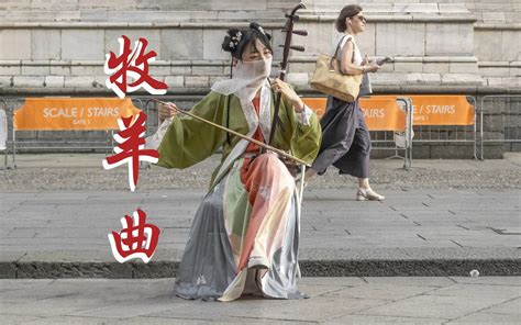 二胡【牧羊曲】欧洲街头上演《少林寺》经典“日出嵩山坳，晨钟惊飞鸟” Cover 郑绪岚 胖二胡pandaerhu 胖二胡pandaerhu