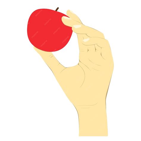 Premium Vector Hand Holding Red Apple In Vector Graphic