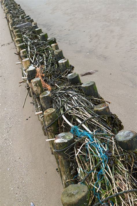 Los Rompeolas Resaltan En El Mar De Wadden Durante La Bajamar Imagen De