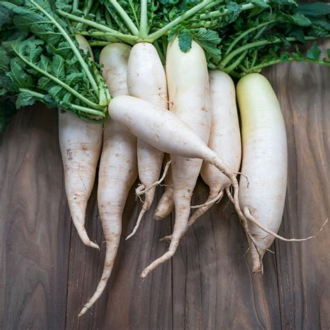 Radish Varieties You Need to Try | Vegetarian Times