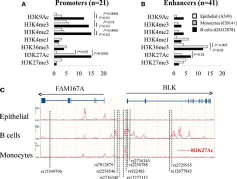 Analysis of histone modifications in the promoters (A) and enhancers ...