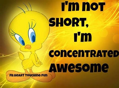 Famous Tweety Bird Quotes. QuotesGram