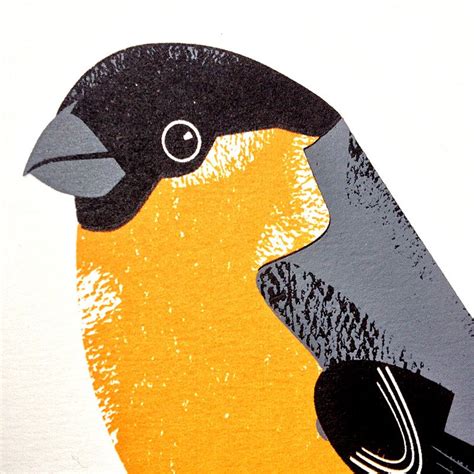 Bullfinch Screen Print By Chris Andrews Soma Gallery