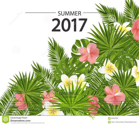 In De Zomerkaart Banner Affiche Met Tropische Bloemen Installaties En Bladeren Vector