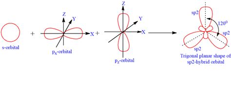 Hybridization Definition Types And Examples Chemistry Notes