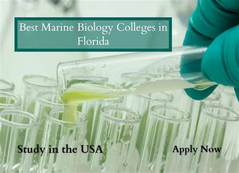 Best Marine Biology Colleges in Florida - FreeEducator.com