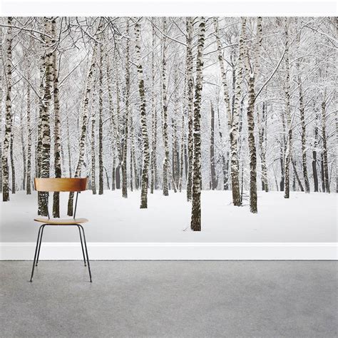 Winter Birch Tree Forest Wall Mural