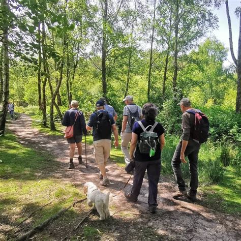 Dorset Group Tue30May Easy Stroll Around Upton Heath Gay Outdoor Club