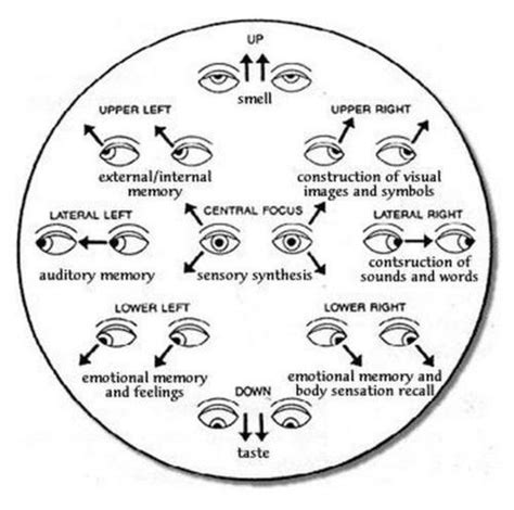 Eye movement guide : r/coolguides