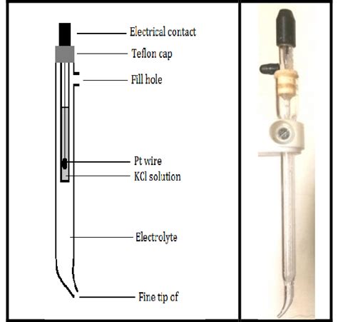 Working electrode. Reference Electrode The reference electrode used ...