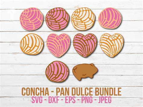 Concha Svg Bundle Mexican Bread Svg Pan Dulce Png Clipart Etsy