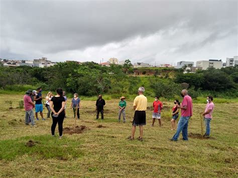 Jornal da Franca Secretaria do Meio Ambiente de Franca fará plantio