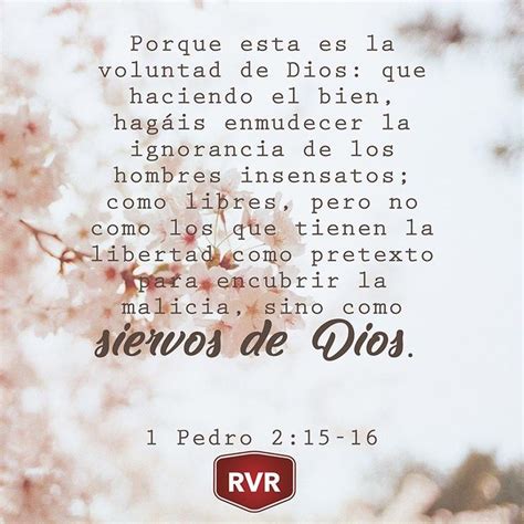 Rvr Vers Culo B Blico Diario Pedro Frases Religiosas