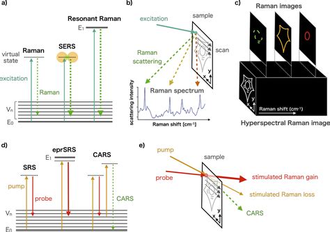 Raman Spectroscopy For Chemical Biology Research Journal Of The