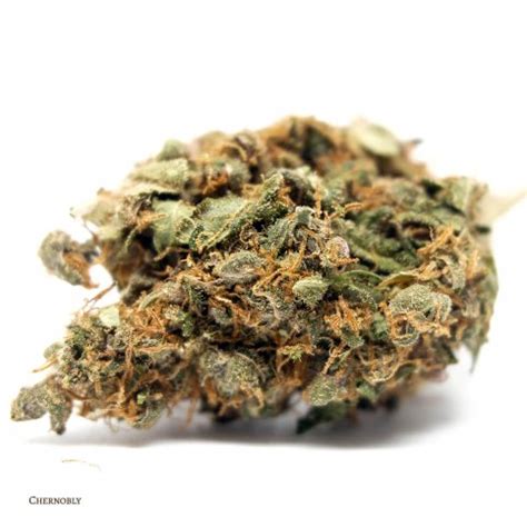 Chernobyl (AA) - Allcannshop.com