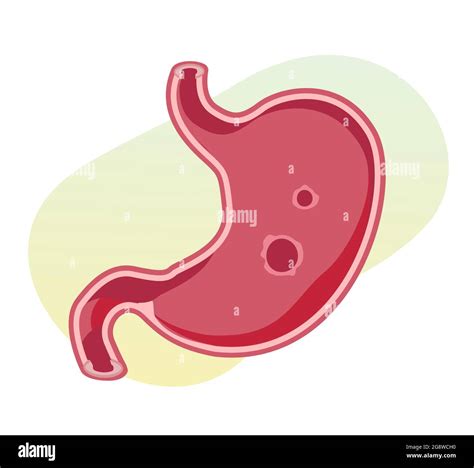 Semejanza Humana Im Genes Vectoriales De Stock Alamy