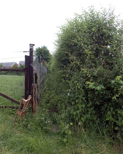 Overgrown Path From Leeds Road To Sunny Habiloid Cc By Sa