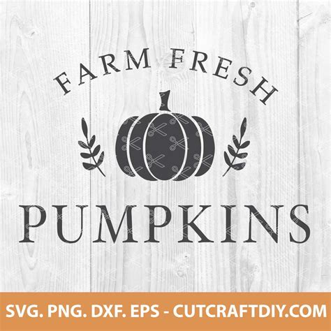 Farm Fresh Pumpkins Svg Farm Fresh Sign Svg Fall Svg