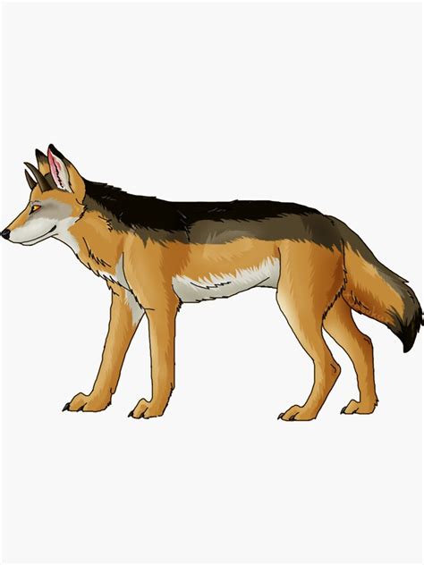 "Jackal Drawing-Art Sticker" Sticker by GalinStickers | Redbubble