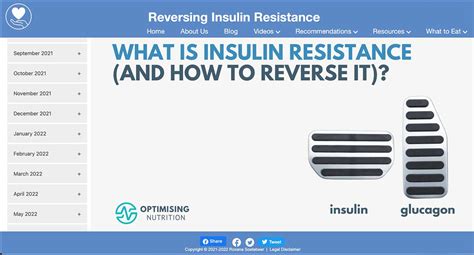 What Is Insulin Resistance And How To Reverse It By Marty Kendall