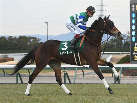 【京王杯sc想定騎手】メイケイエールは池添謙一騎手、スカイグルーヴはcルメール騎手 競馬ニュース Netkeiba