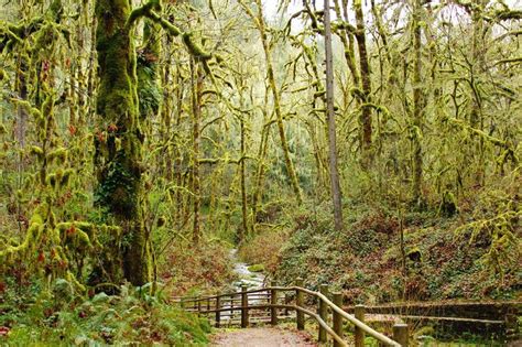 Soda Springs Trail, Oregon Oregon Road Trip, Oregon Travel, Camping ...