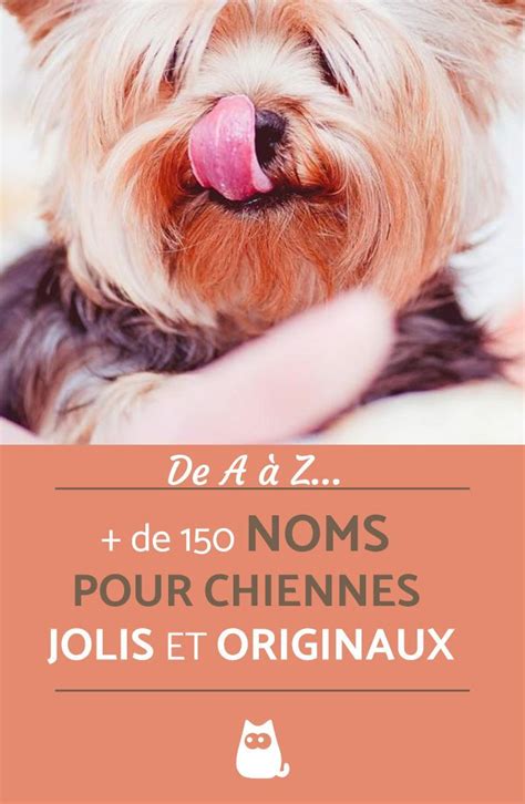 Noms pour chiennes JOLIS et ORIGINAUX de 900 noms de A à Z Nom