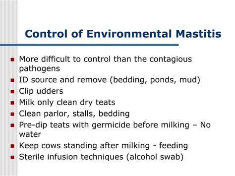 Mastitis in dairy cattle causes and treatment