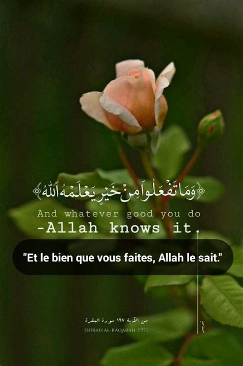 Pin By Ch Home On Verset Coran Allah Best