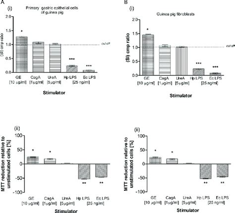 The Effectiveness Of Migration Of Gastric Epithelial Cells And