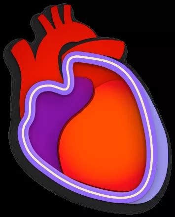 One-Time or Recurrent Pericarditis| What is Pericarditis?