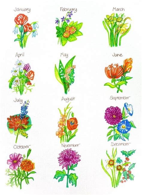 Birth Flowers For Each Month