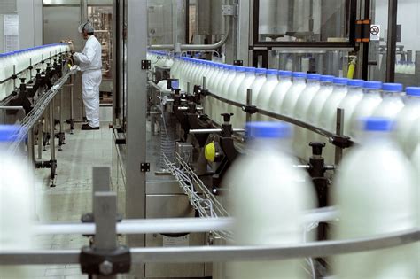 La Pasteurizaci N De Alimentos Proceso Y Efectos En El Cuerpo