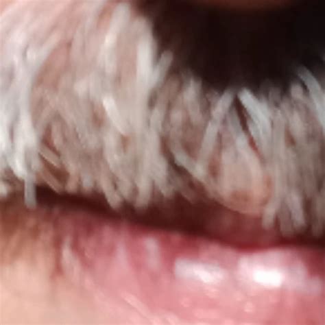 Argentina Grandpa Argentinian Gay Big Cock Porn Xhamster