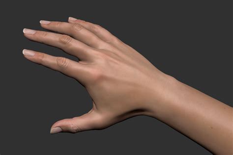 Realistic Female Arm 3d Model 99 Max Ma Ztl Fbx Obj Free3d