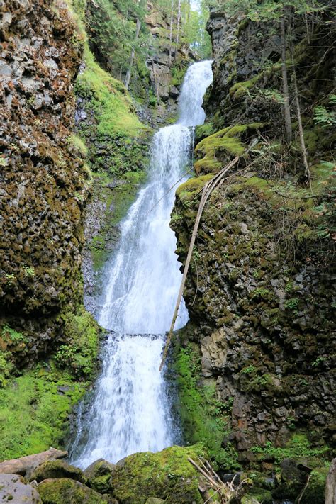 Candle Creek to Clearwater River Trail - Kamloops Trails