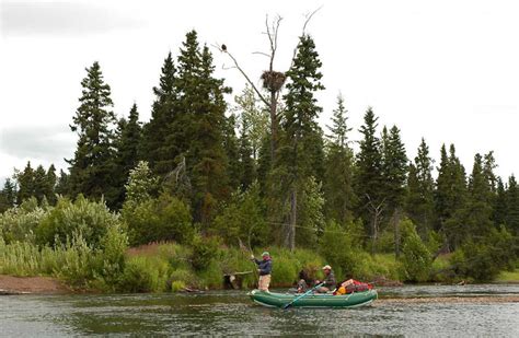 Nushagak River Fishing | Prazni-Portal.com