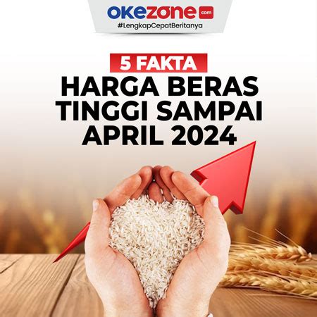 5 Fakta Harga Beras Masih Tinggi Sampai April 2024 0 Foto Okezone