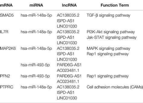 Frontiers Transcriptome Analysis Of Ivosidenib Mediated Inhibitory