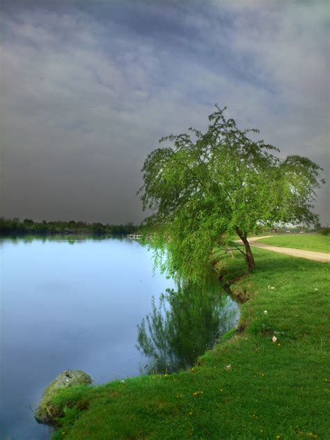 Free Images Landscape Tree Water Nature Grass Cloud Sky Lawn