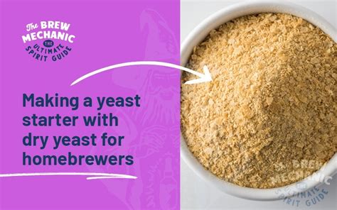 Making a yeast starter with dry yeast for homebrewers