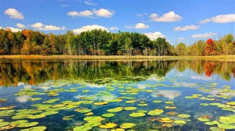 Located 55 Kilometers North Of Rasht City Anzali Lagoon Is Situated South