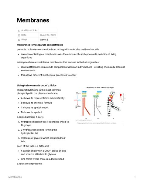 Membranes Lecture Notes Membranes Additional Links Date Week Week