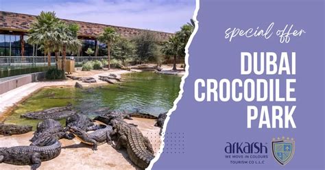 Dubai Crocodile Park - All you need to explore.