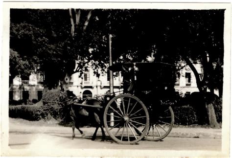 Calesa Manila P I Archival Photograph Or Postcard From Flickr