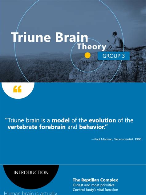 Triune Brain Theory | Neocortex | Cerebrum