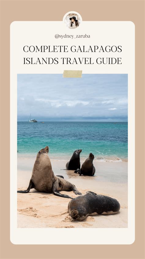 The Ultimate Galapagos Islands Travel Guide