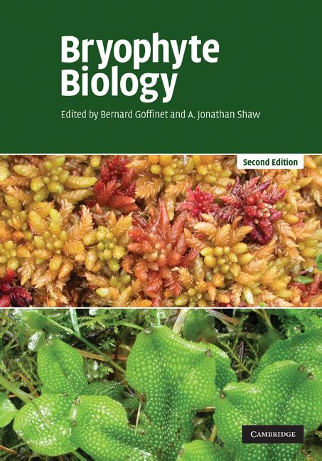 Phylum Bryophyta Characteristics