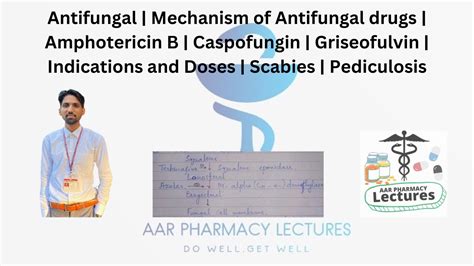 Antifungal Drugs Mechanism Amphotericin B Caspofungin