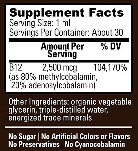 Top Vegan B12 Supplements | What Every Vegan Should Know Before Buying